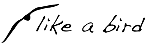 Logo Like a bird
